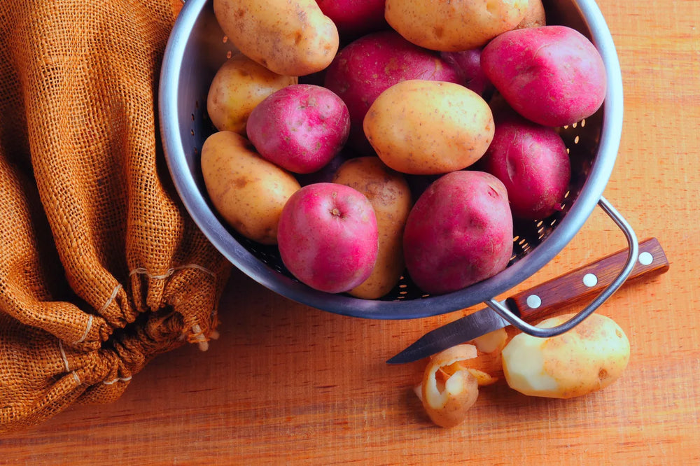 Comment choisir et utiliser un couteau d’office