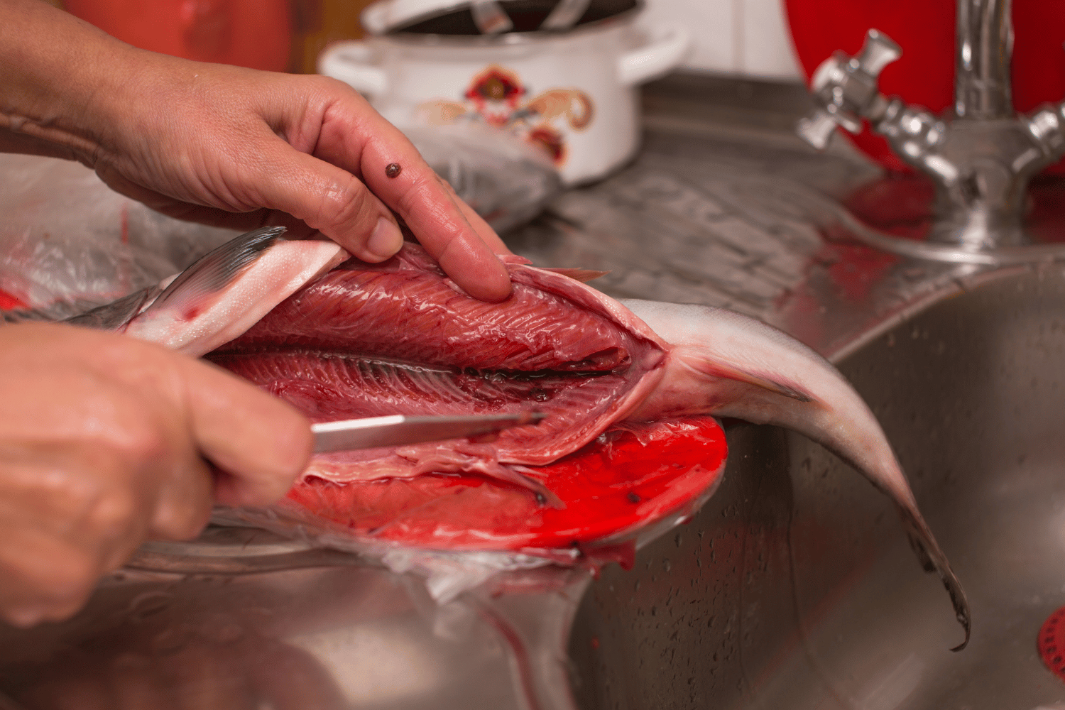 Couteau pour lever les filets de poisson