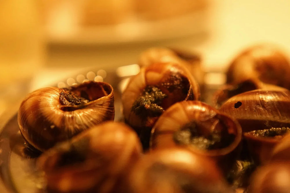 The 10 typical dishes of French gastronomy